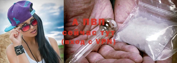 ГАЛЛЮЦИНОГЕННЫЕ ГРИБЫ Верхний Тагил