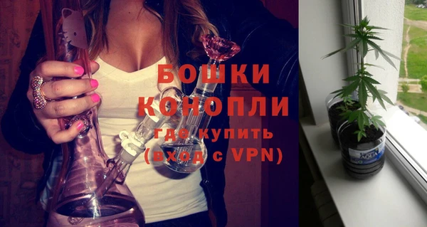 ГАЛЛЮЦИНОГЕННЫЕ ГРИБЫ Верхний Тагил