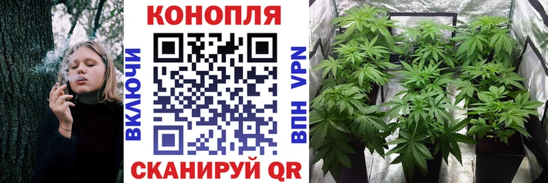 mega ТОР  Петушки  Марихуана OG Kush 